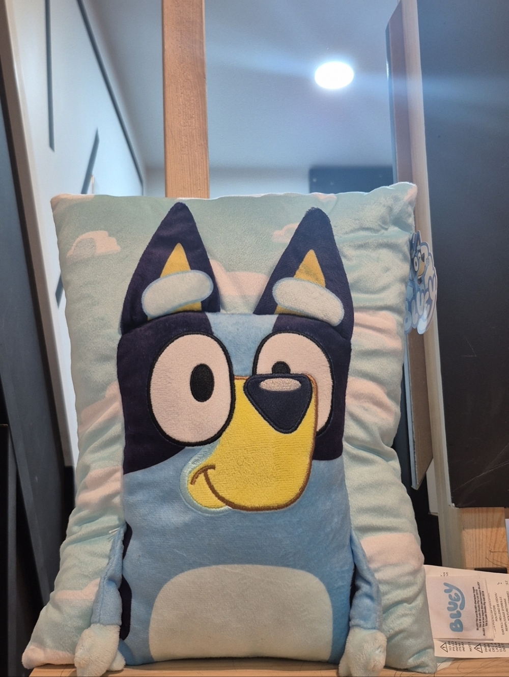 Bluey 15 Inch 3D Snuggle Cozy Plush Pillow